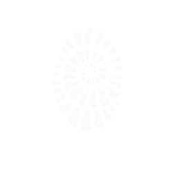 XELA